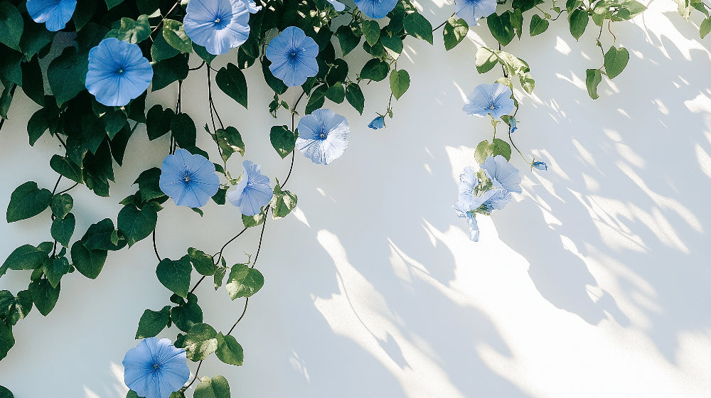 Morning Glory Blue Floral Wallpaper design file showing detailed botanical pattern and natural color flow