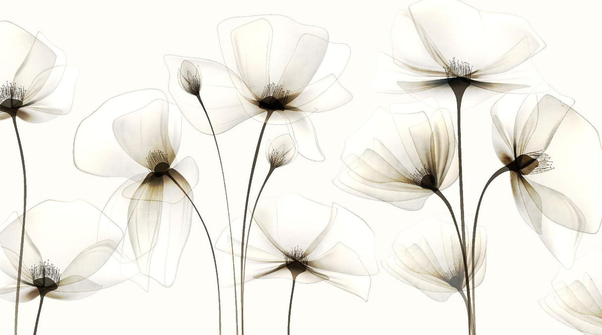 White flowers wallpaper design file showing delicate petal details and translucent effect
