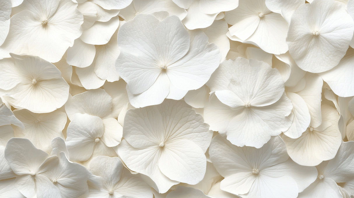 White delicate petals design file showing intricate floral pattern details