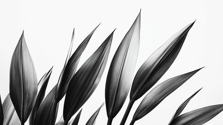 Black and white minimalist leaves design file showing detailed botanical pattern and texture