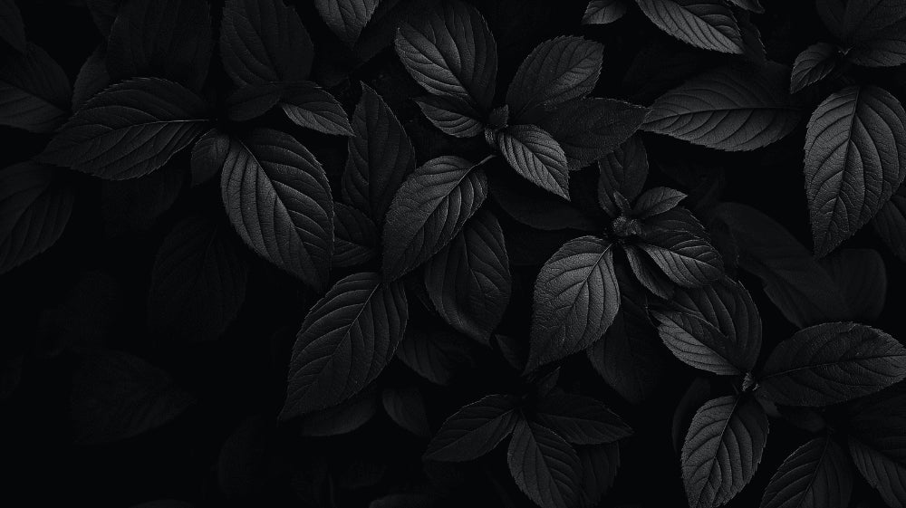Dark monochrome leaves pattern design file showing intricate botanical details