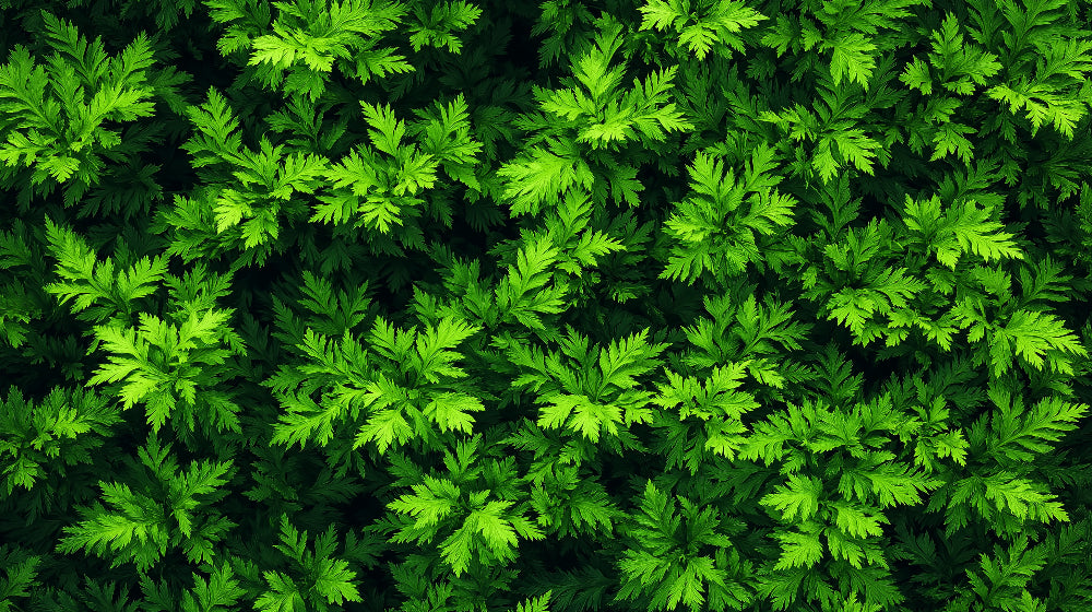 Green leaf pattern design file showing detailed botanical illustration with rich emerald tones