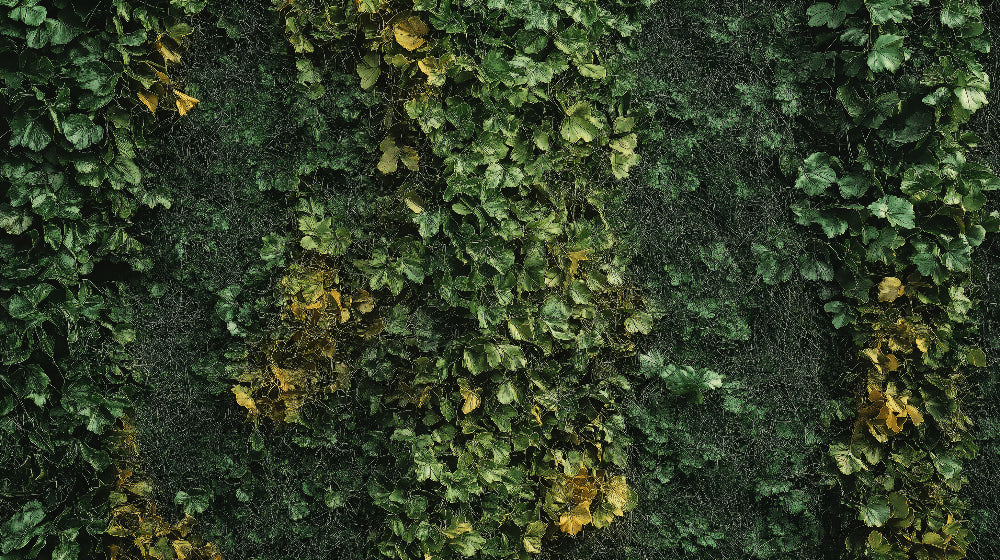 Green wall mural with golden accents creating a peaceful atmosphere in a modern living room with natural light