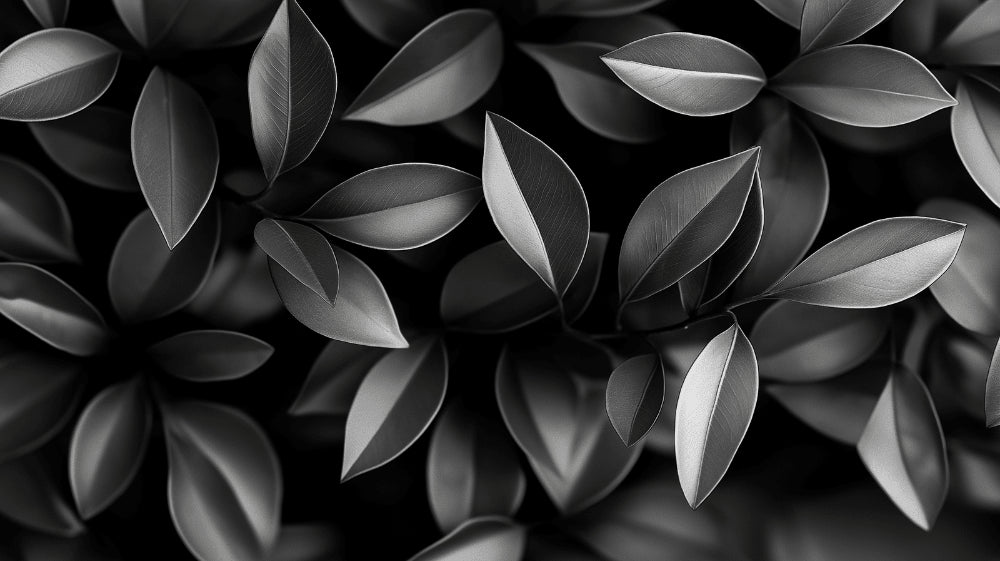 Black and white foliage wallpaper design file showing detailed leaf pattern and textures