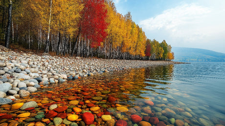 Autumn forest lake design file showing detailed birch trees and rocky shoreline pattern