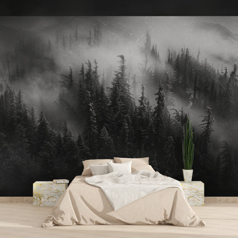 Monochrome forest wallpaper in office space with morning light