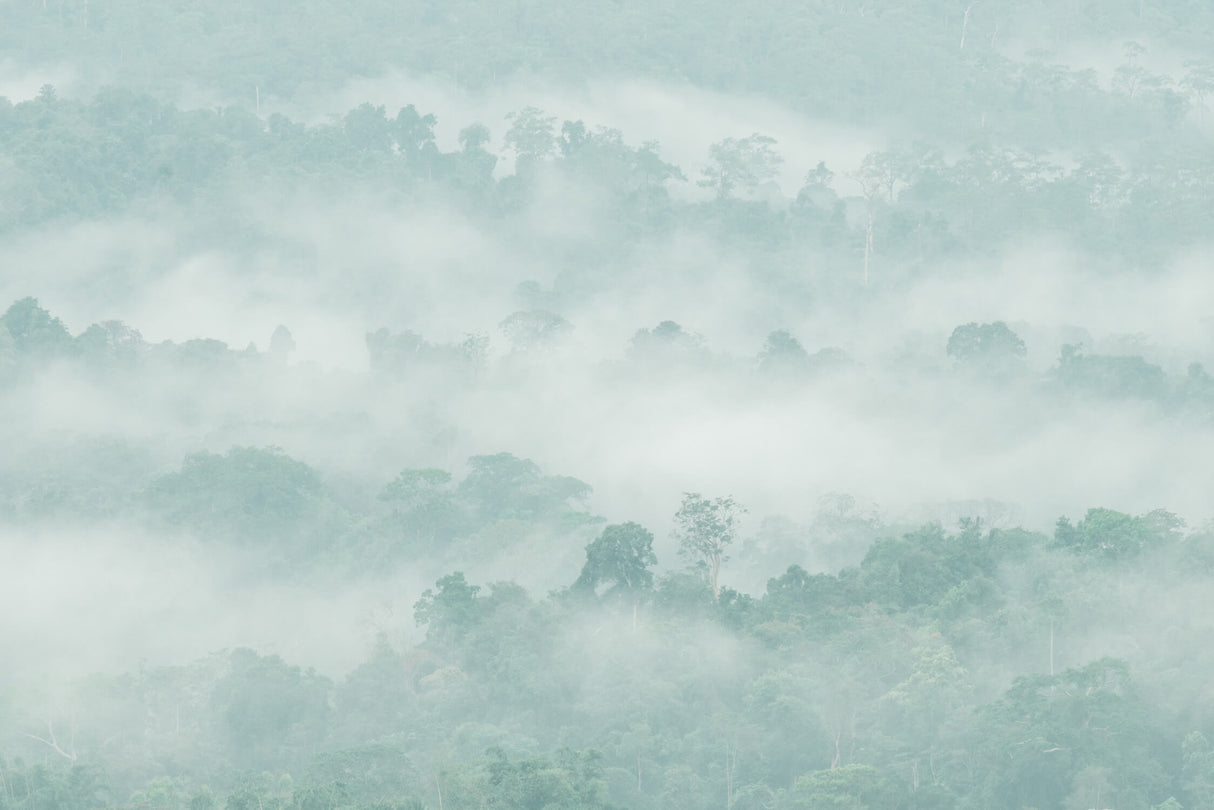 Design file of misty forest wallpaper showing full mountain landscape pattern