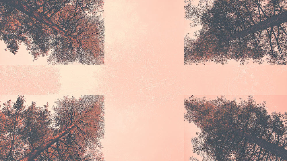 Abstract forest wallpaper design file showing pink sunset and tree silhouettes pattern