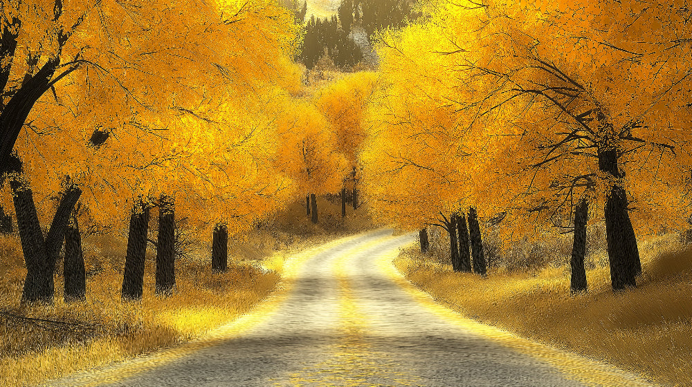Autumn forest wallpaper design file showing detailed golden trees and path pattern