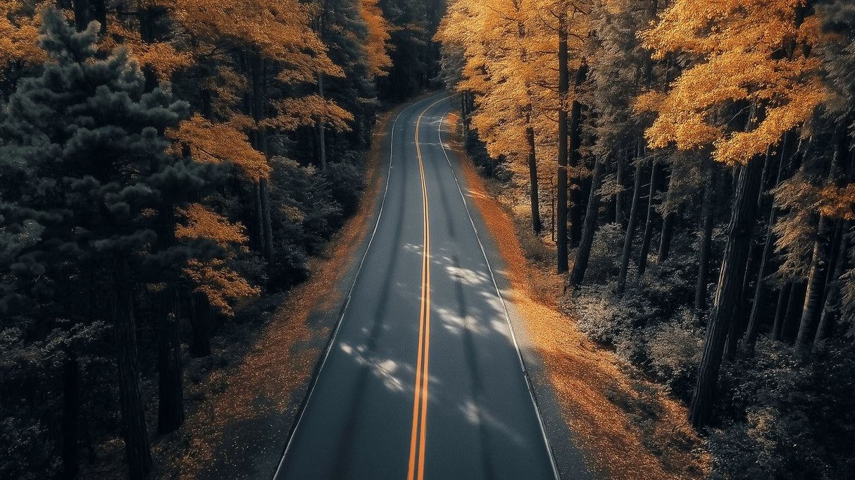 Forest road wallpaper design file showing detailed autumn colors and path perspective