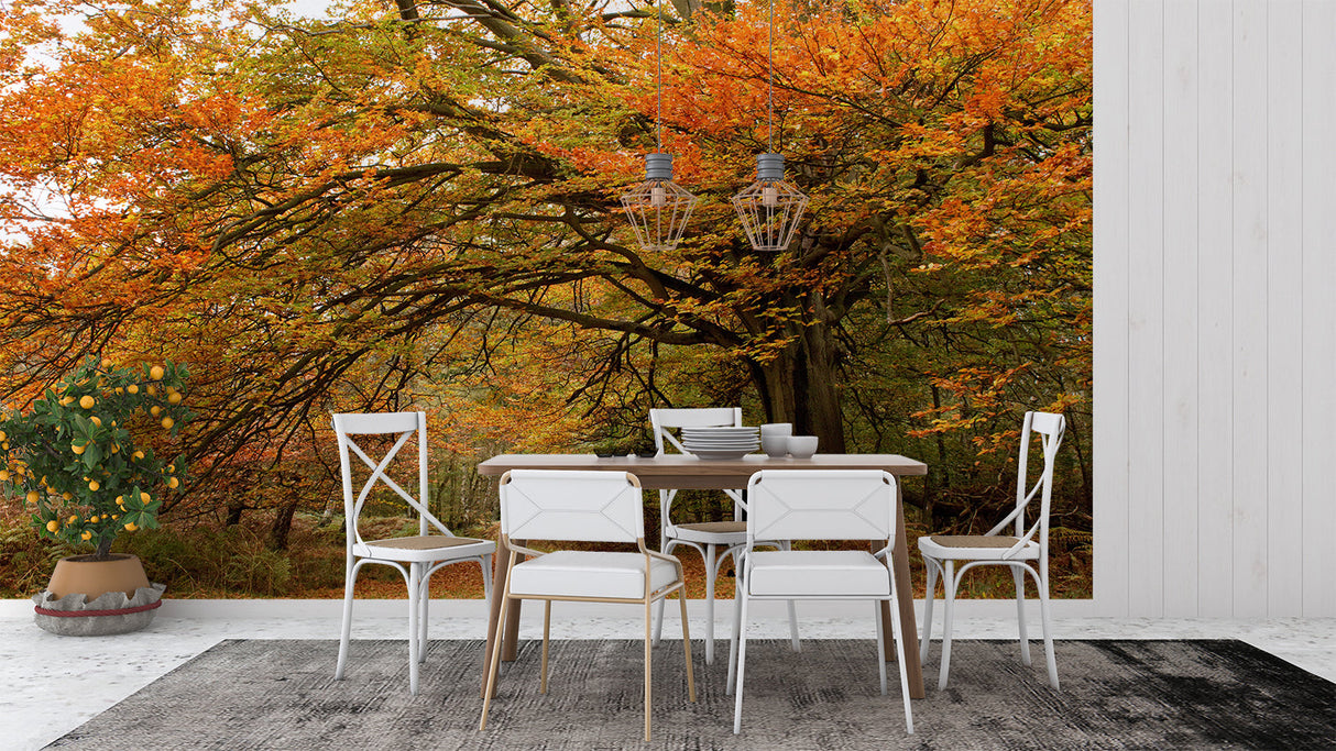 Autumn forest wallpaper creating a cozy atmosphere in a modern living room with natural light highlighting the orange foliage