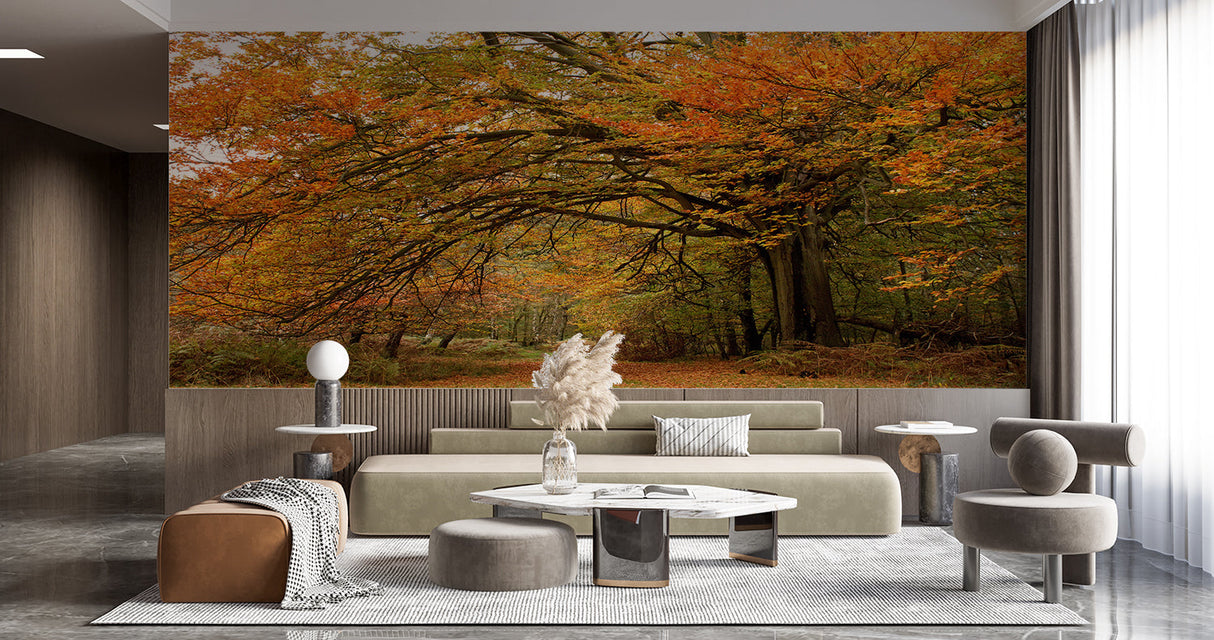 Fall tree mural adding warmth to a master bedroom with soft lighting enhancing the golden leaves