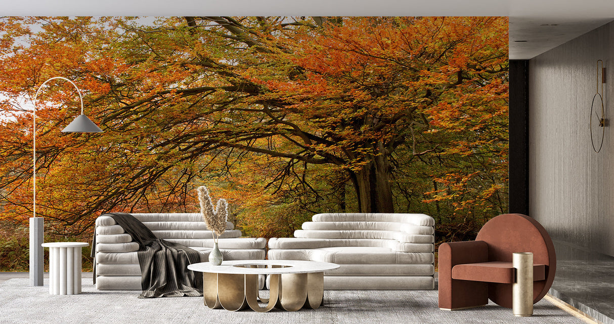 Forest nature mural bringing outdoor beauty to a dining room with warm autumn tones
