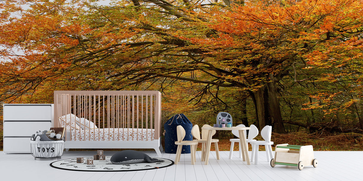 Autumn forest wallpaper design file showing detailed orange foliage and tree patterns