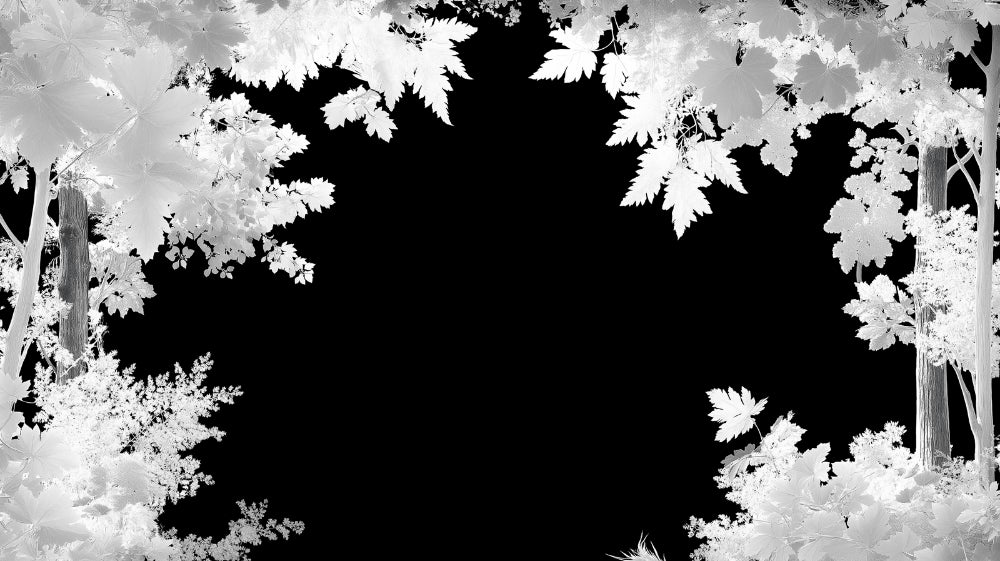 Monochrome forest wallpaper design file showing intricate negative space leaf pattern