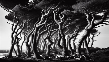 Black and white tree silhouettes design file showing intricate branch details and misty background pattern