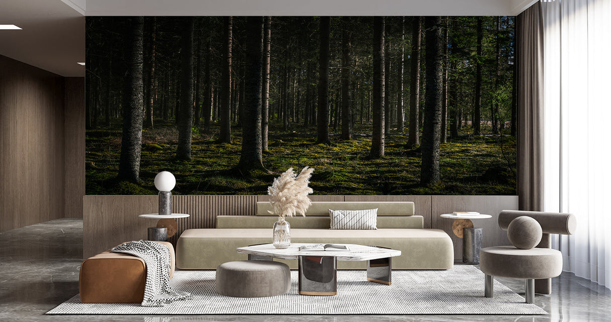 Forest mural wallpaper showcased in modern living room with grey sofa and natural light