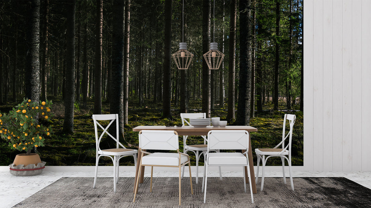 Dark pine forest wallpaper creating depth in minimal dining room setting