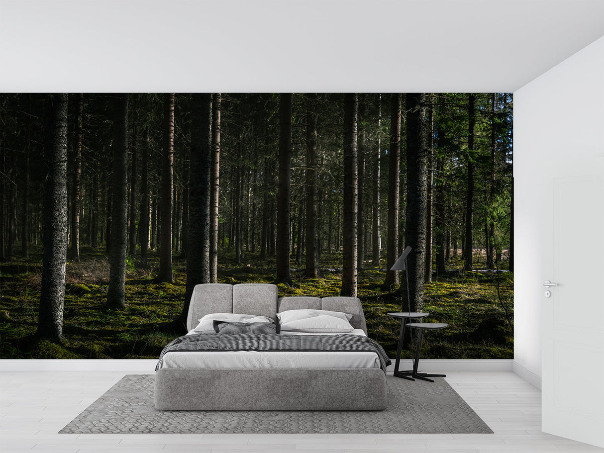 Woodland mural wallpaper transforming master bedroom with moody forest atmosphere