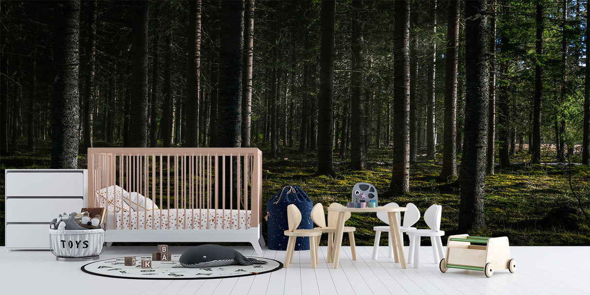 Forest wallpaper creating dramatic impact in contemporary hallway