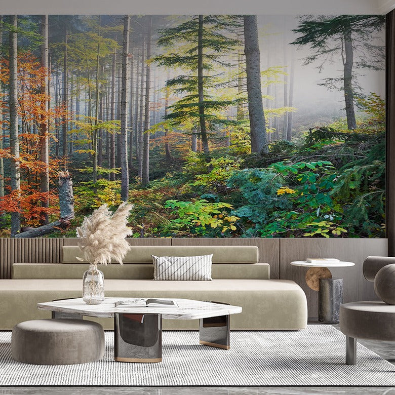 Forest mural wallpaper creating depth in modern living room with natural light filtering through misty pine scene