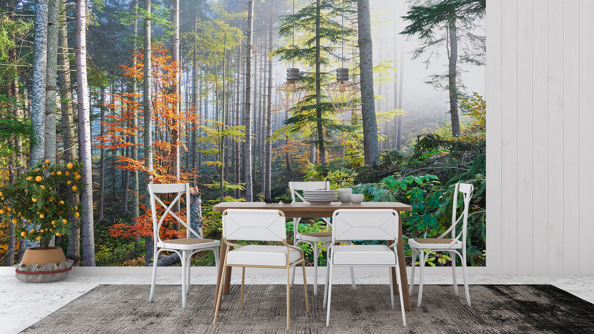 Autumn forest wallpaper in cozy bedroom setting showing morning mist and pine trees