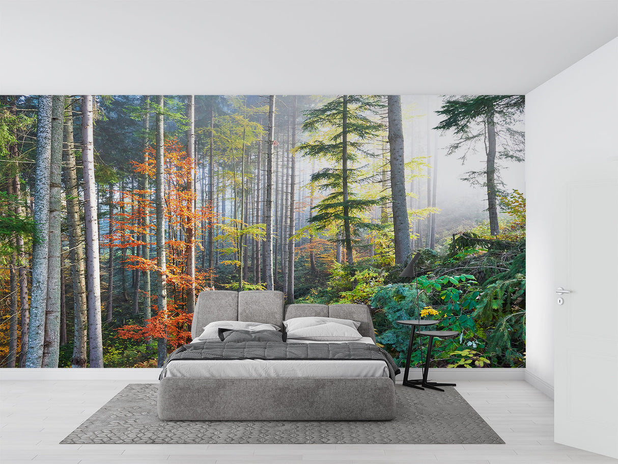 Pine forest mural adding natural atmosphere to dining room with soft autumn colors