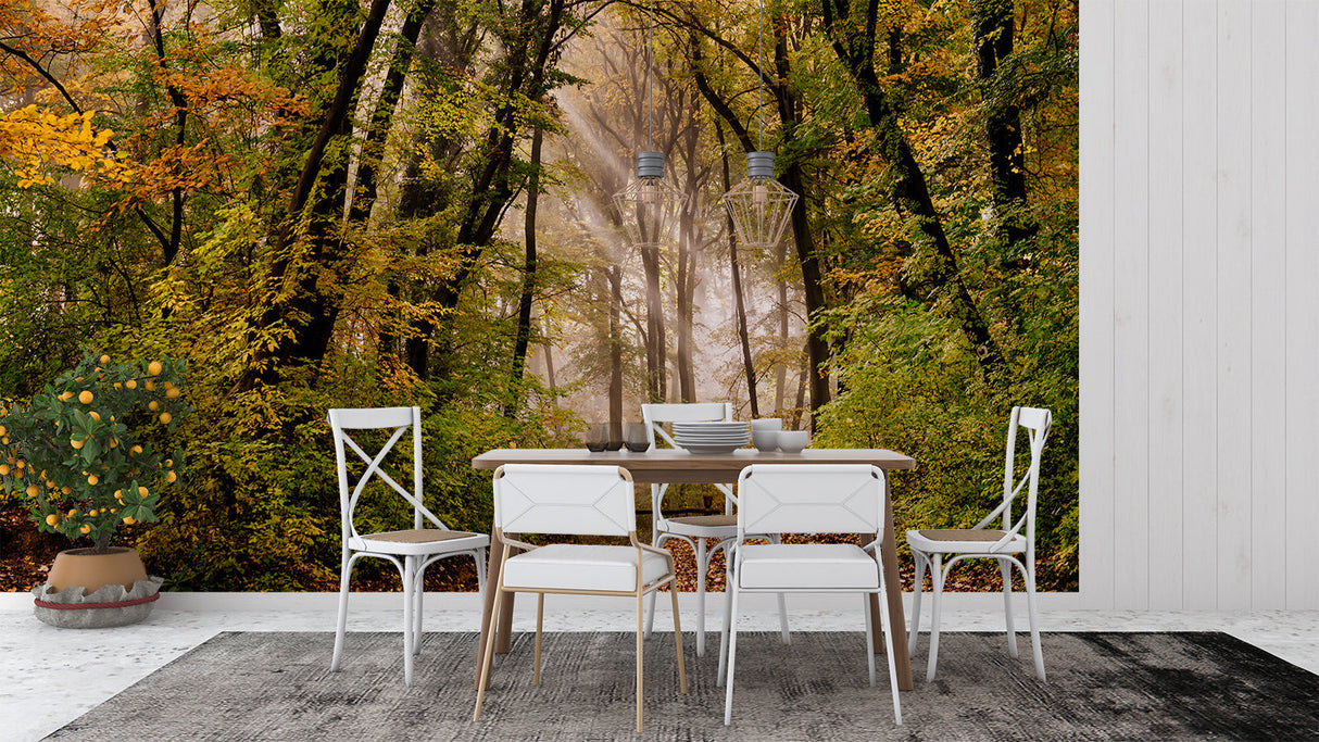 Forest mural wallpaper creating a cozy atmosphere in a modern living room with natural light