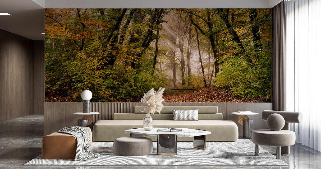 Misty forest wallpaper transforming a bedroom into a peaceful nature retreat