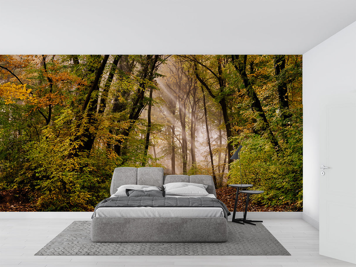 Autumn forest mural adding depth to a home office with soft morning light