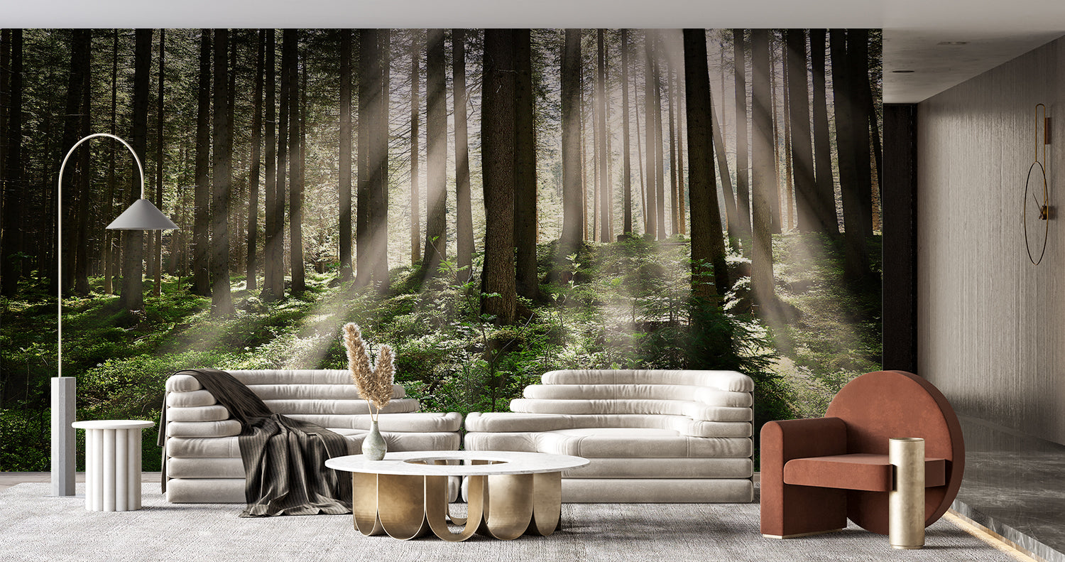 Forest mural wallpaper creating depth in modern living room, sunlight streaming through pine trees