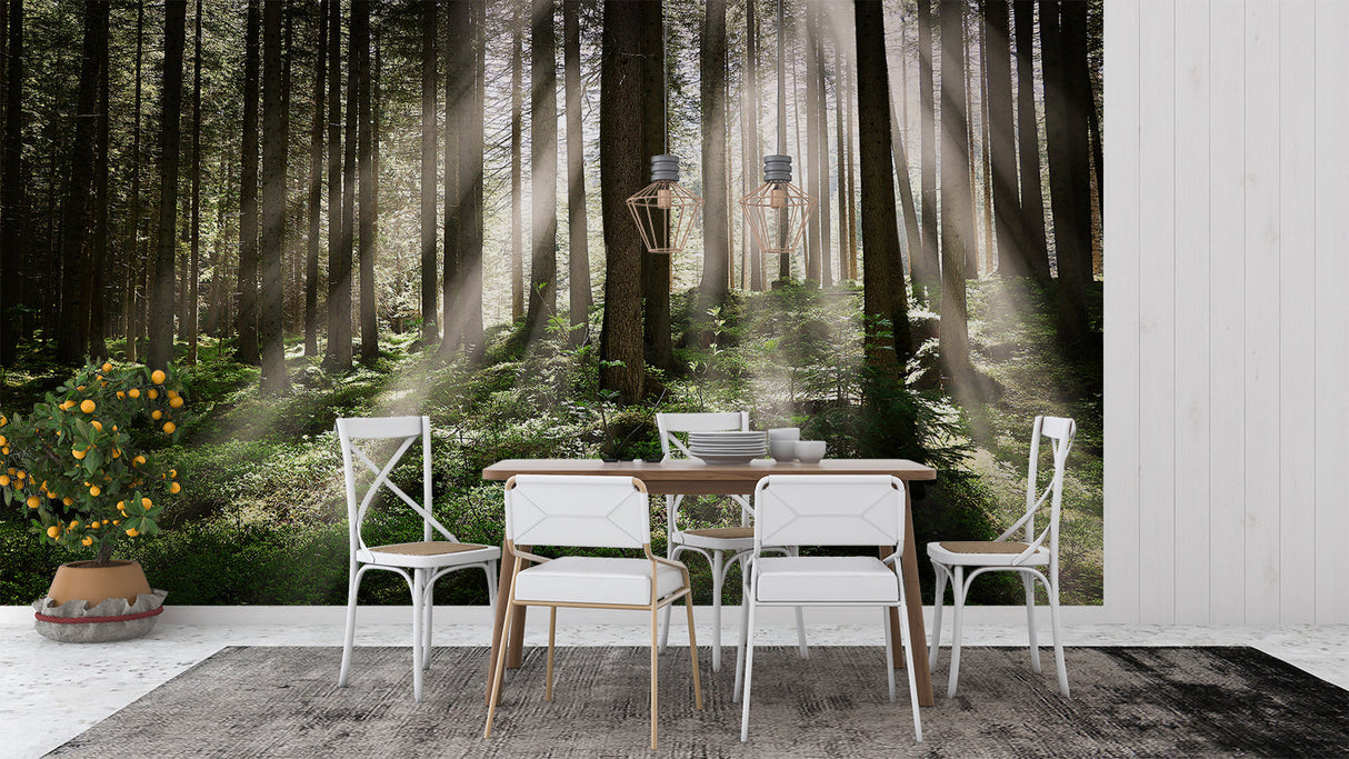 Misty forest wallpaper in cozy bedroom setting with morning light