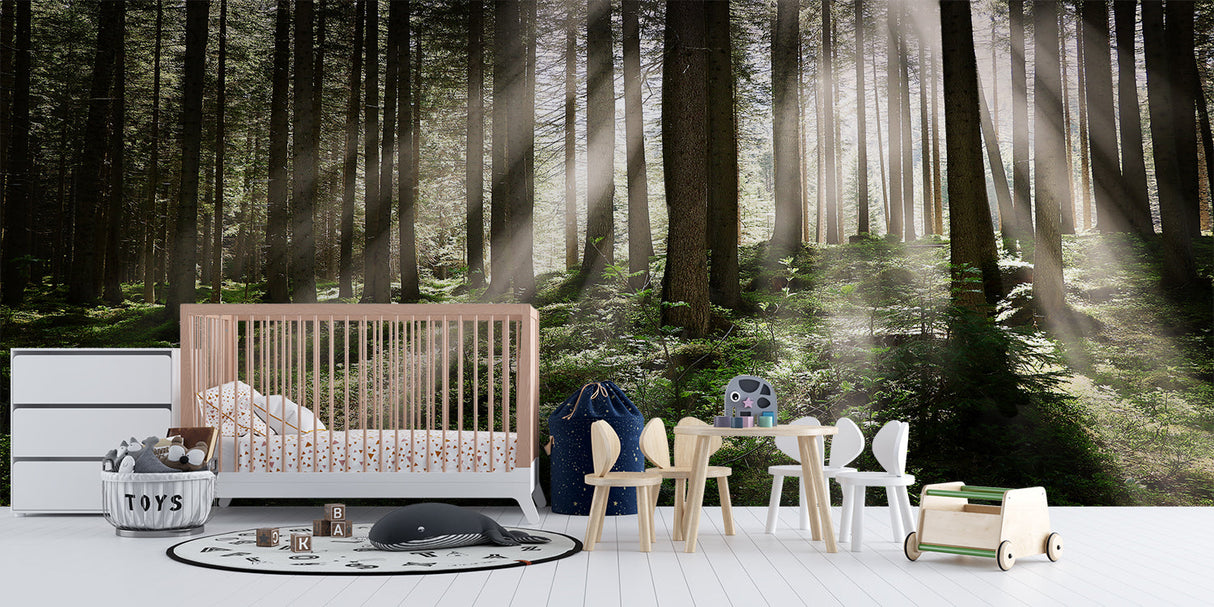 Woodland mural transforming hallway with misty pine forest scene