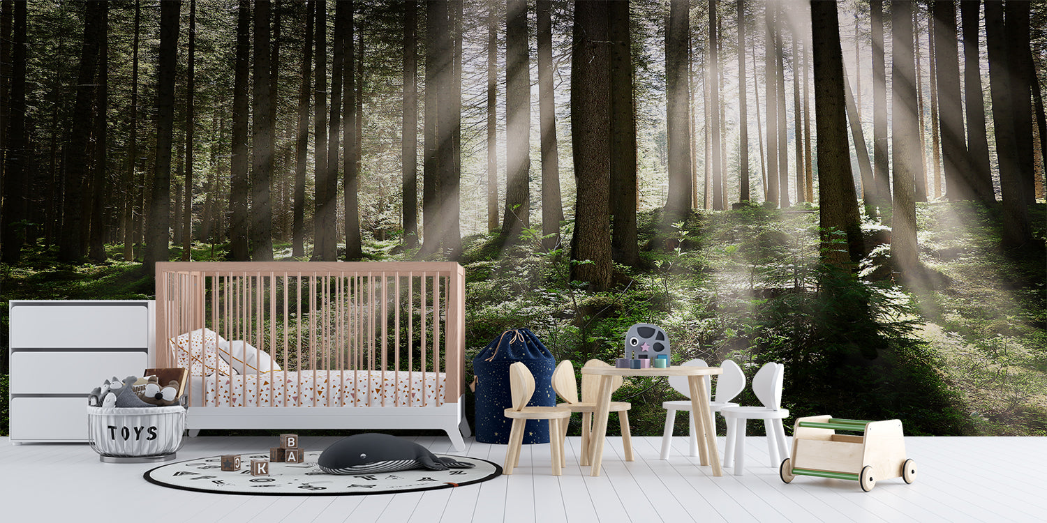Woodland mural transforming hallway with misty pine forest scene