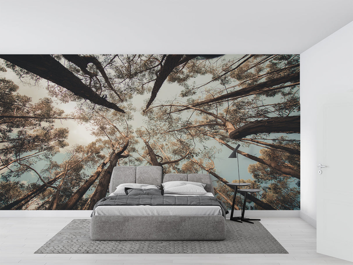 Forest tree wallpaper creating depth in modern living room with tall windows