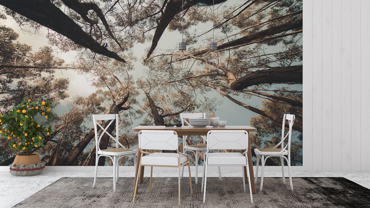 Pine tree canopy mural in cozy bedroom showing morning light effects