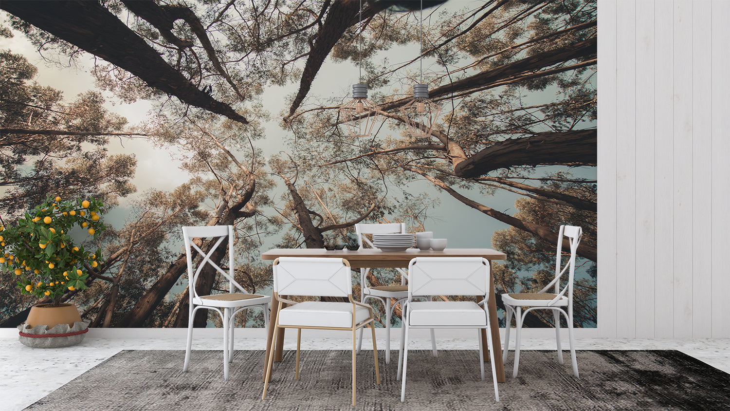 Pine tree canopy mural in cozy bedroom showing morning light effects