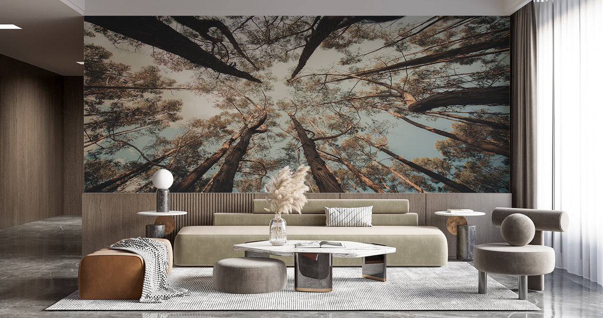 Forest wallpaper transforming home office with natural tree canopy view