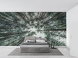 Forest canopy wallpaper creating depth in a modern living room with high ceilings