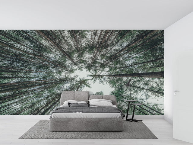 Forest canopy wallpaper creating depth in a modern living room with high ceilings