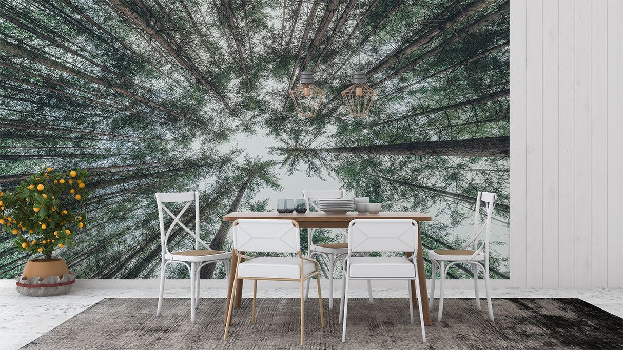 Forest perspective wallpaper brightening a home office space