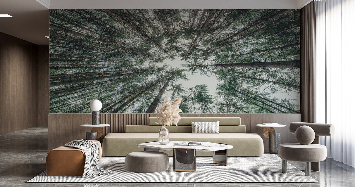 Upward view forest mural making a dining room feel taller