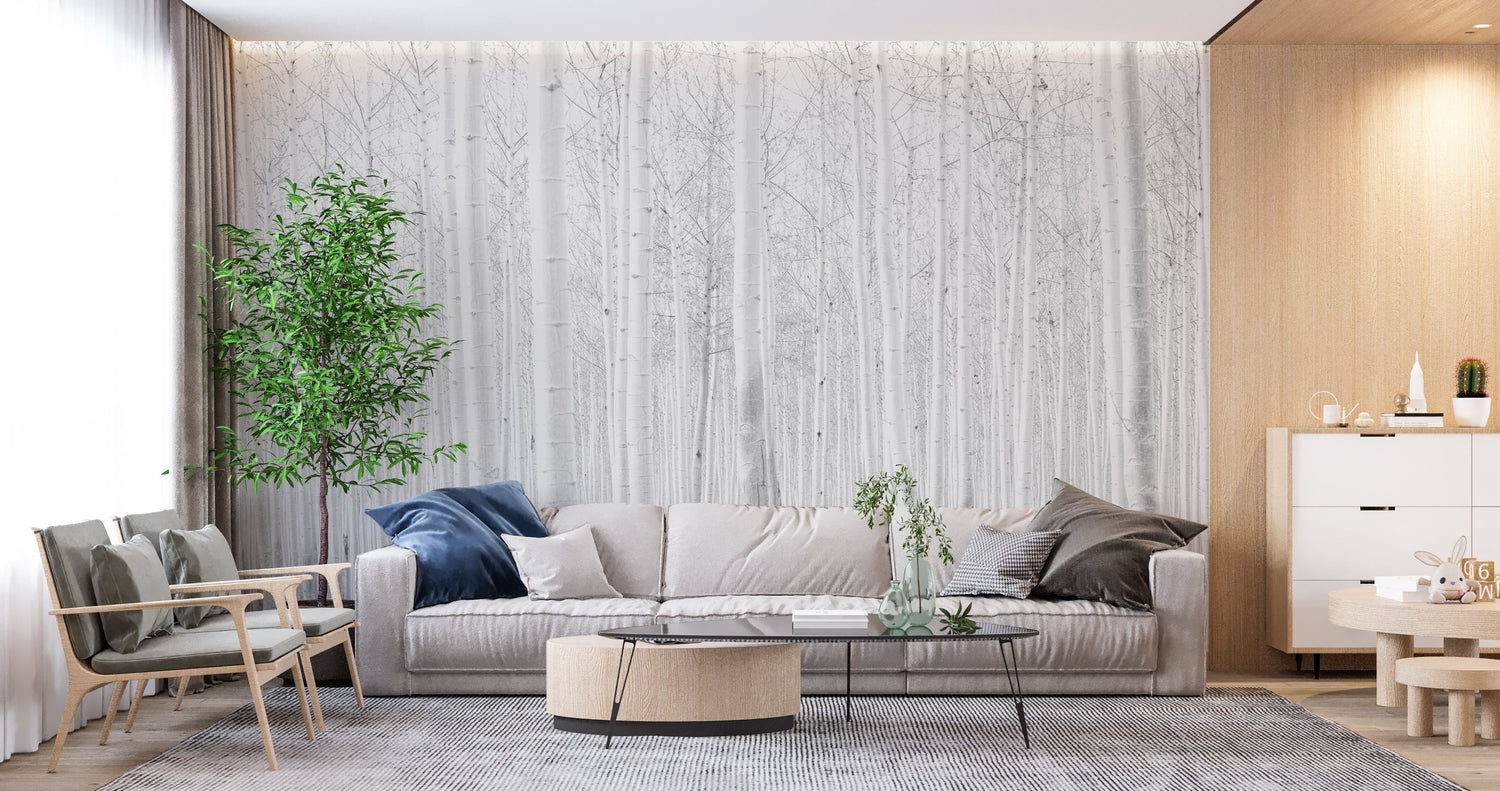 White birch forest wallpaper in modern minimalist bedroom, creating a serene atmosphere with natural light