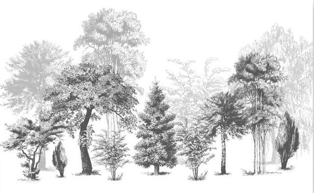 Black and white forest tree pattern design file showing detailed branches and shadows
