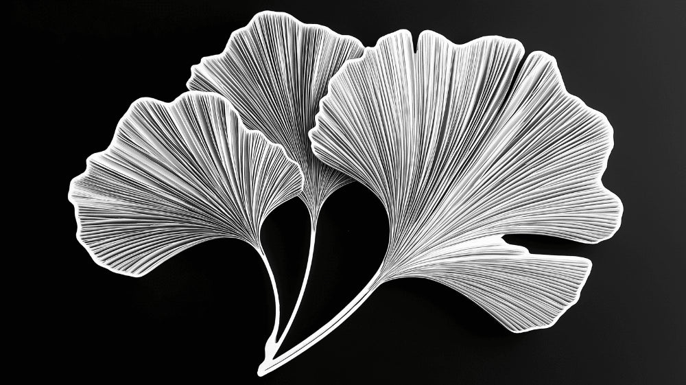 Botanical ginkgo leaf design file showing intricate black and white pattern