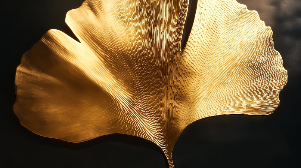 Luxury Ginkgo leaf wallpaper in modern dining room, golden botanical design against black creates dramatic accent wall