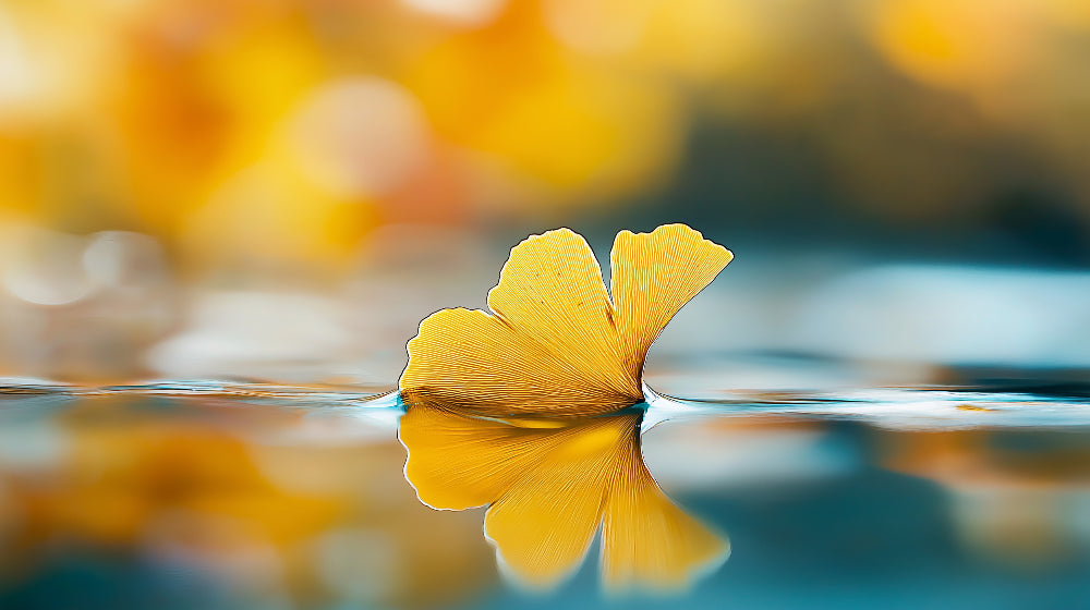 Ginkgo Leaf Wallpaper design file showing detailed water reflection pattern and golden leaf artwork