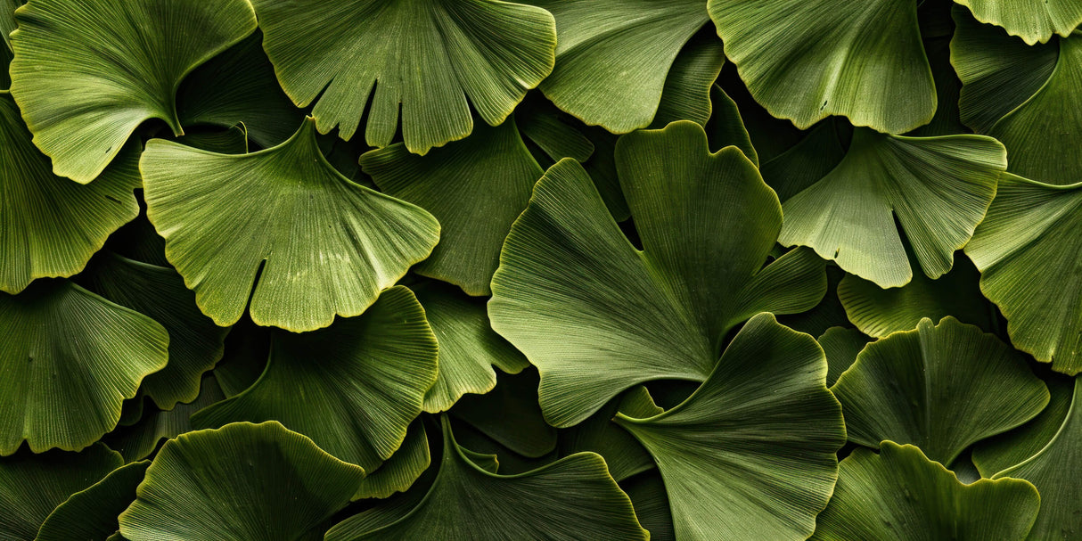 Ginkgo leaf wallpaper design file showing detailed green pattern and natural textures