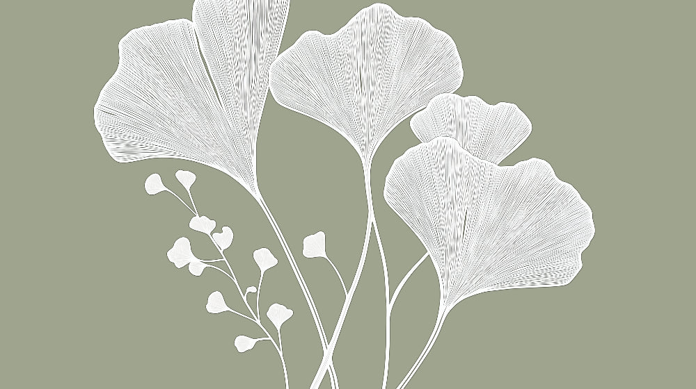 Ginkgo leaf pattern design file showing white botanical line art on sage green background