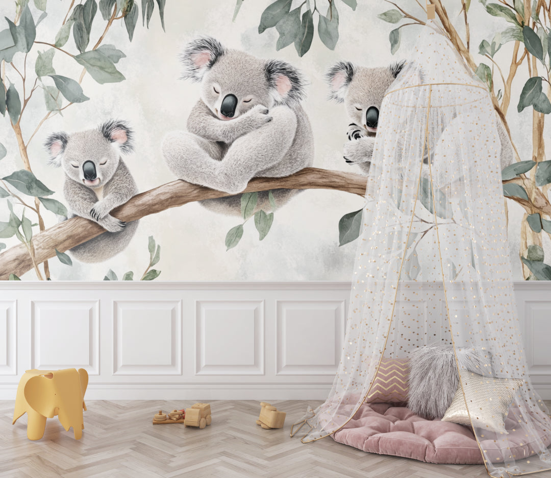 Australian koala wallpaper bringing calm to a reading nook corner